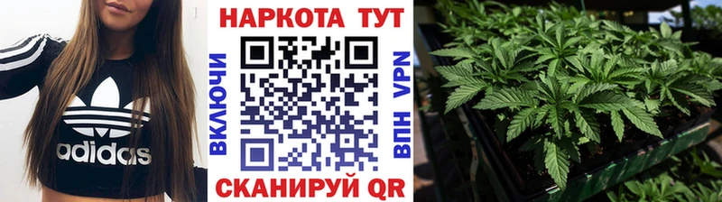 Какие есть наркотики Камень-на-Оби Псилоцибиновые грибы  KRAKEN tor  Меф мяу мяу  ГАШИШ  Кокаин  АМФ  МАРИХУАНА 