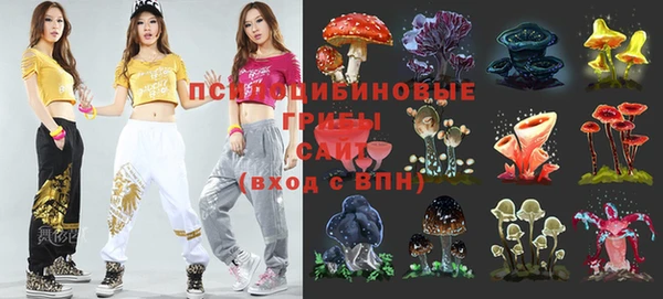 MDMA Богородицк