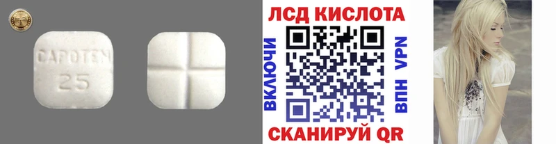 LSD-25 экстази кислота  Камень-на-Оби 