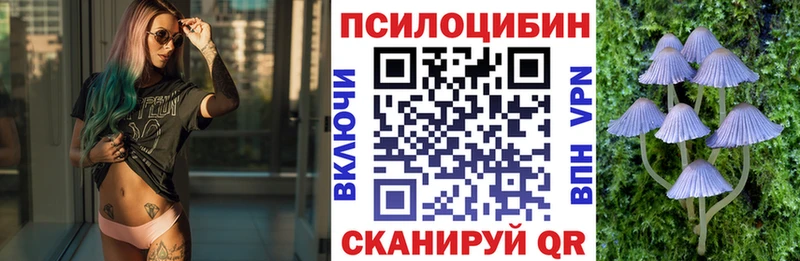 Галлюциногенные грибы мицелий что такое наркотик Камень-на-Оби